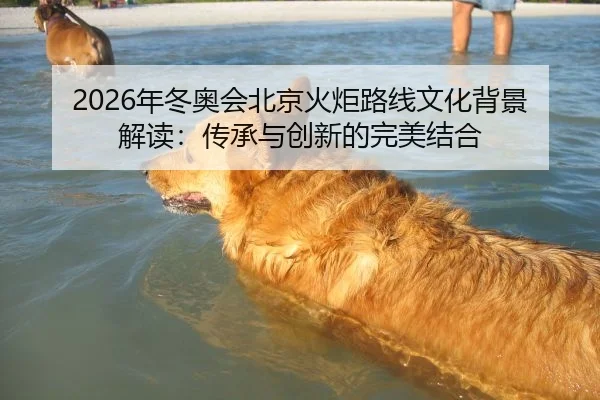2026年冬奥会北京火炬路线文化背景解读：传承与创新的完美结合